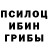 Галлюциногенные грибы MAGIC MUSHROOMS Kriss Gangaev